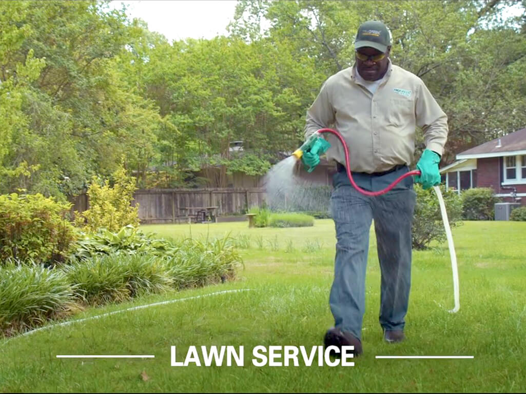 TruGreen Florida: Local Lawn Care Service Near Me | TruGreen