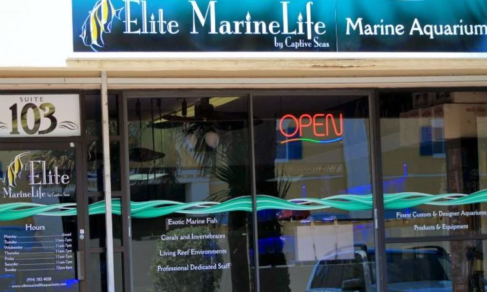 Elite MarineLife