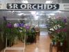 SR Orchids