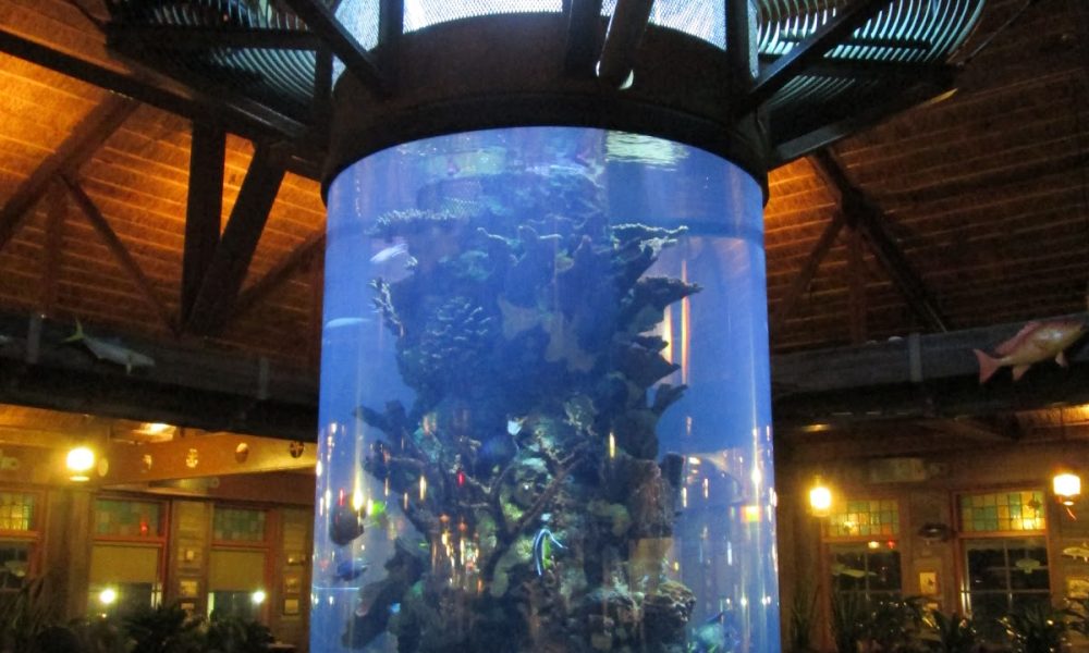 Champion Aquariums