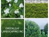 Greenleaf landscaping inc