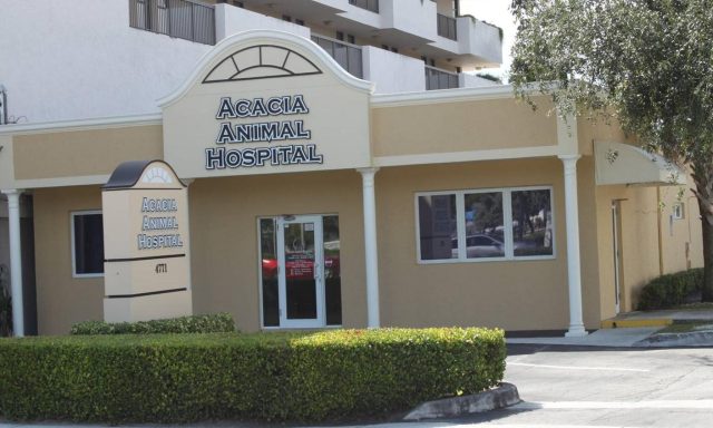 Acacia Animal Hospital