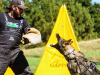 Advanced K9 Academy