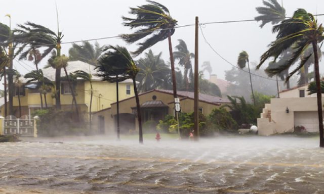 All Florida Hurricane Depot