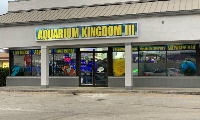 Aquarium Kingdom III