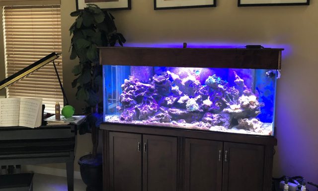 Aquarium maintenance pros llc