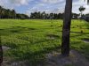 City of Pompano Beach Cemetery