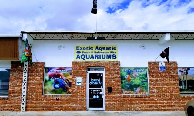 Exotic Aquatic, Inc.