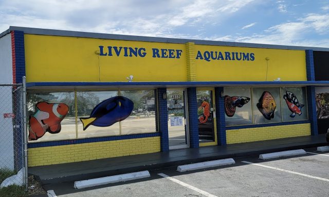 Living Reef Aquariums