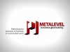 Metalevel Business Consulting - Virtual Business Strategy