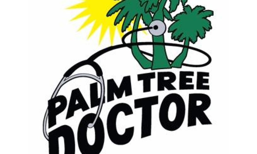 Palm Tree Doctor