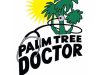 Palm Tree Doctor