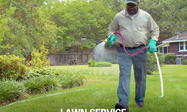 TruGreen Lawn Care