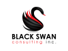 Black Swan Consulting, Inc.