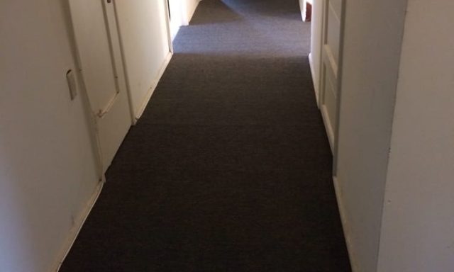 Hi Grade Carpet Cleaning Service