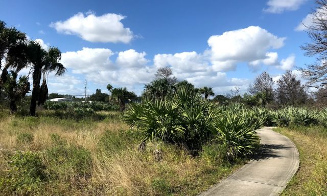 Highlands Scrub Natural Area