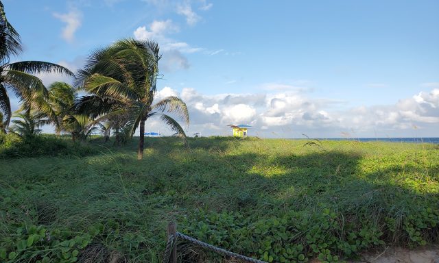 Pompano Beach Park