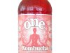 Raw Brewing Company - Kombucha.com