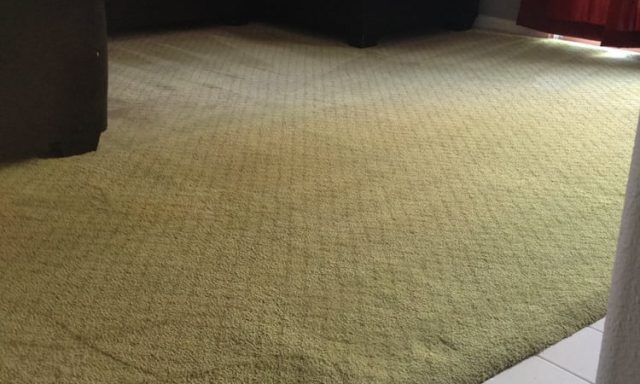 Titan Carpet Cleaning Co