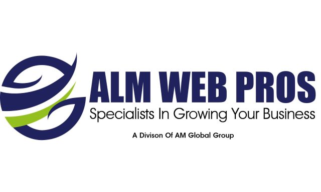 ALM Web Pros LLC