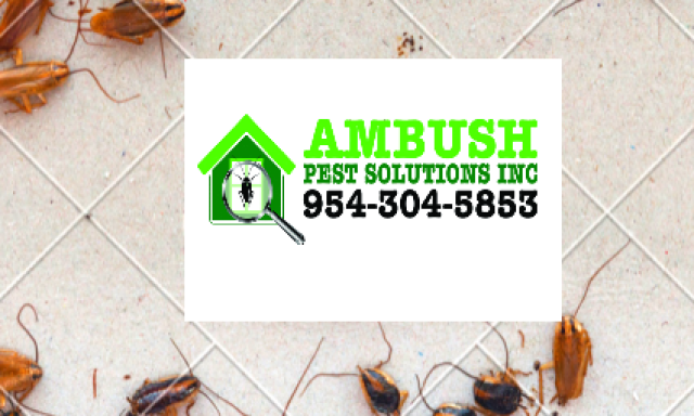 Ambush Pest Solutions INC