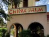 China Palm