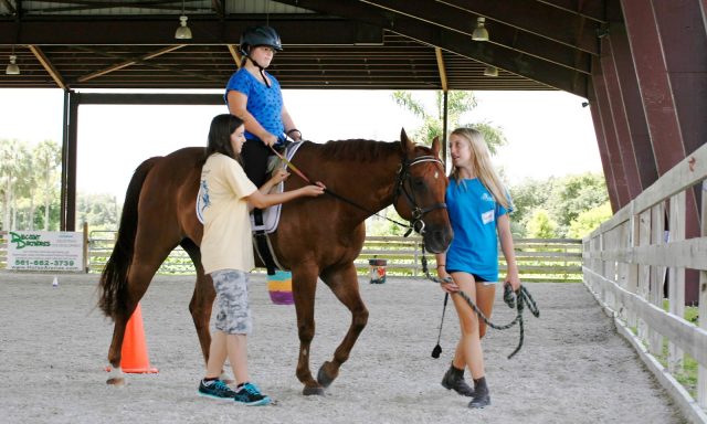 Equine-Assisted Therapies of South Florida