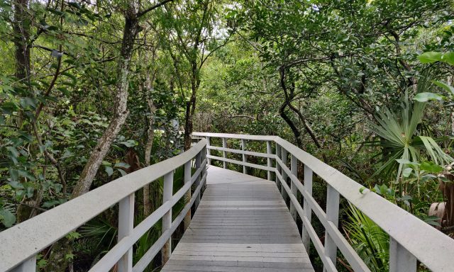 Fern Forest Nature Center