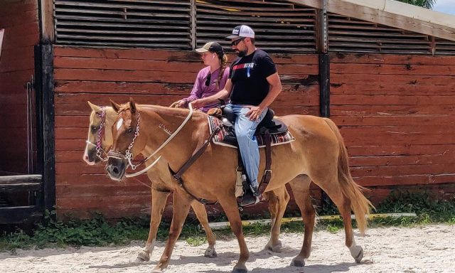 Millpond Stables