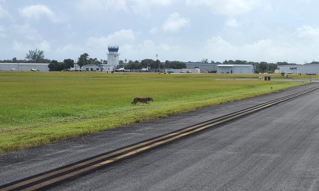 Pompano Beach Airpark