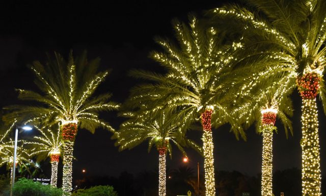 Promenade at Coconut Creek