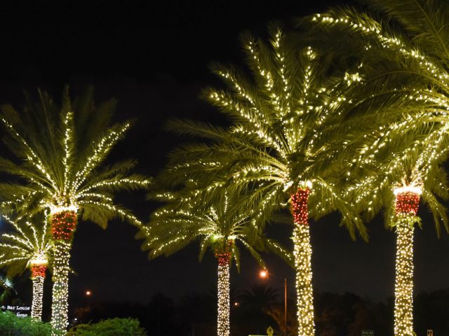 Promenade at Coconut Creek