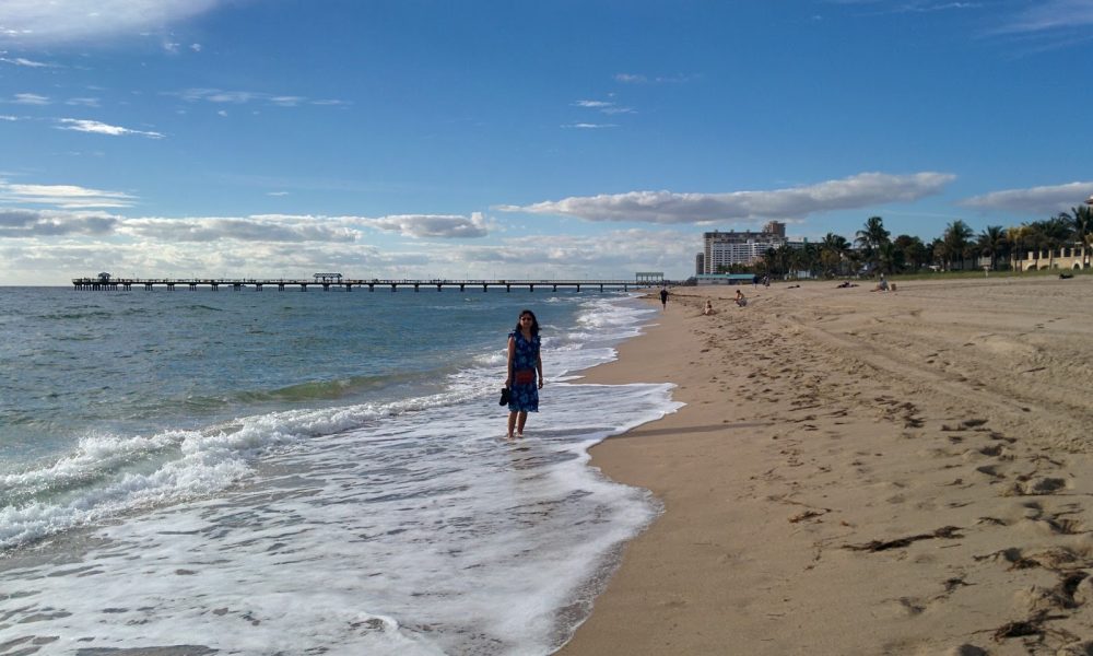 Sea Garden by the Sea