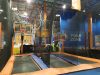 Sky Zone Trampoline Park