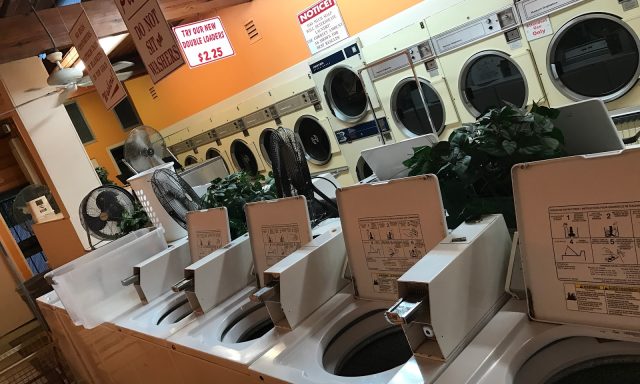 Spin-Cycle Laundry