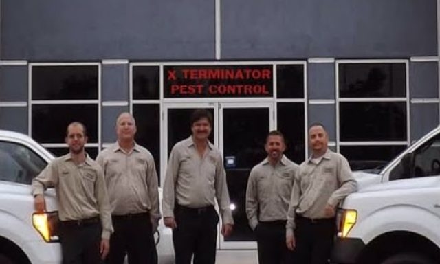 X Terminator Pest Control