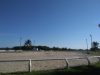 Pompano Beach Sand and Spurs Equestrian Park