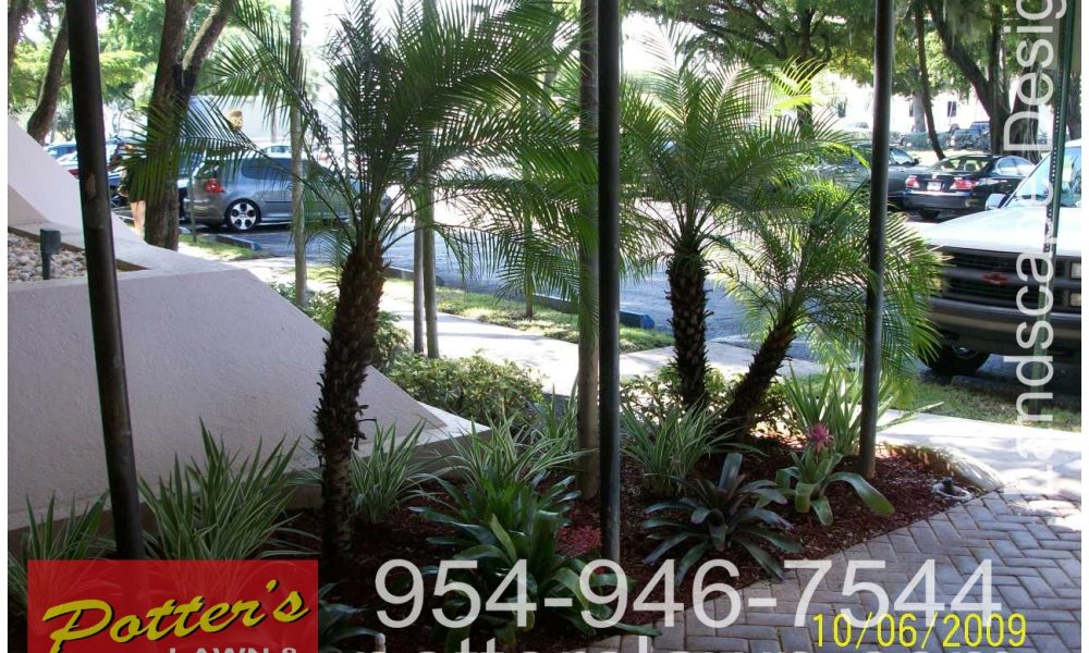 Potter's Lawn & Landscaping