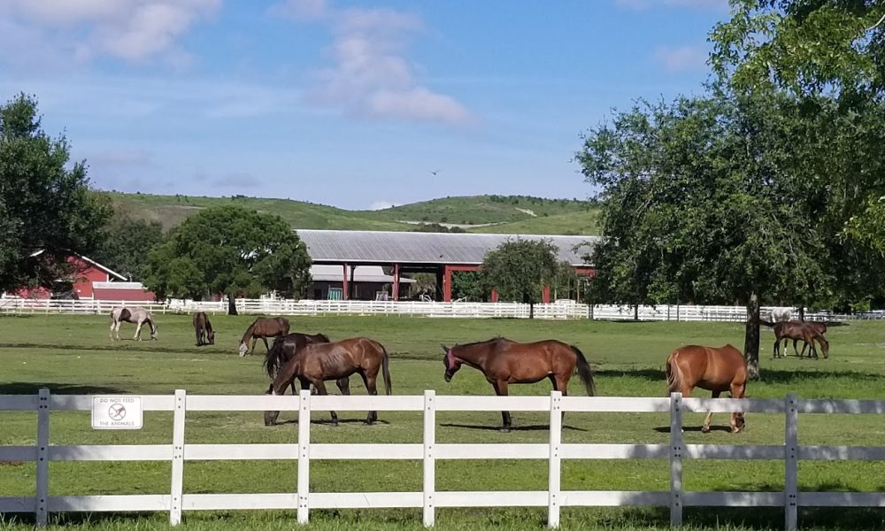 Tradewinds Park & Stables