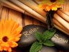 Apple Health Spa | Massage Spa Fort Lauderdale FL-Asian Massage