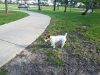 Pompano Beach Dog Park