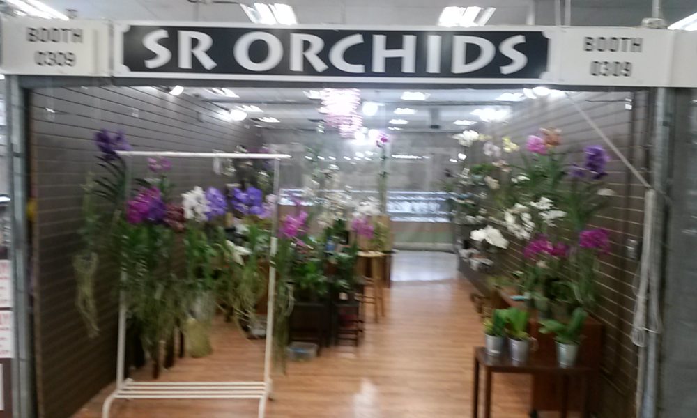 SR Orchids