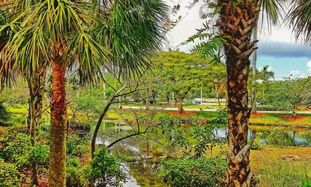 Sabal Pines Park