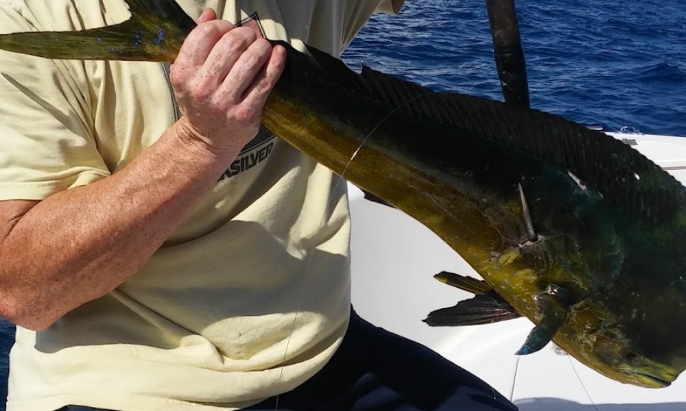 Ace's Bait & Tackle Marine, Co.