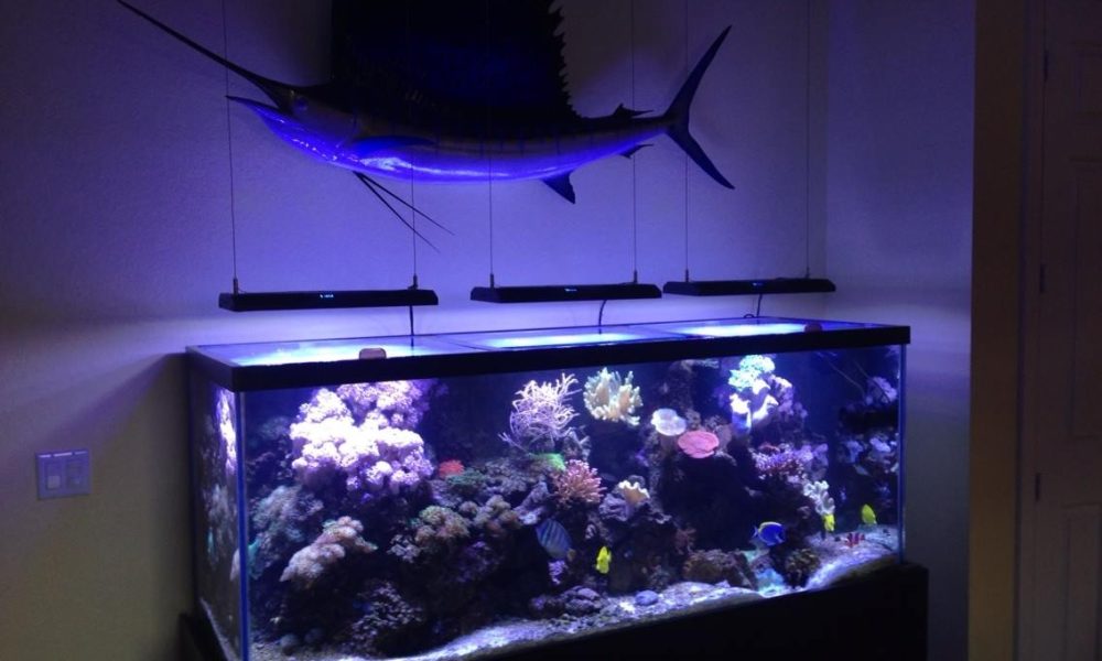 Aquarium maintenance pros llc