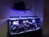 Aquarium maintenance pros llc