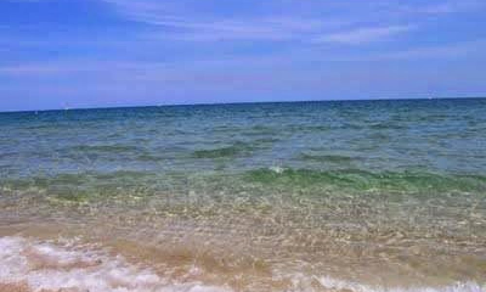 Beach Townhouse/Condo for Rent by Owner