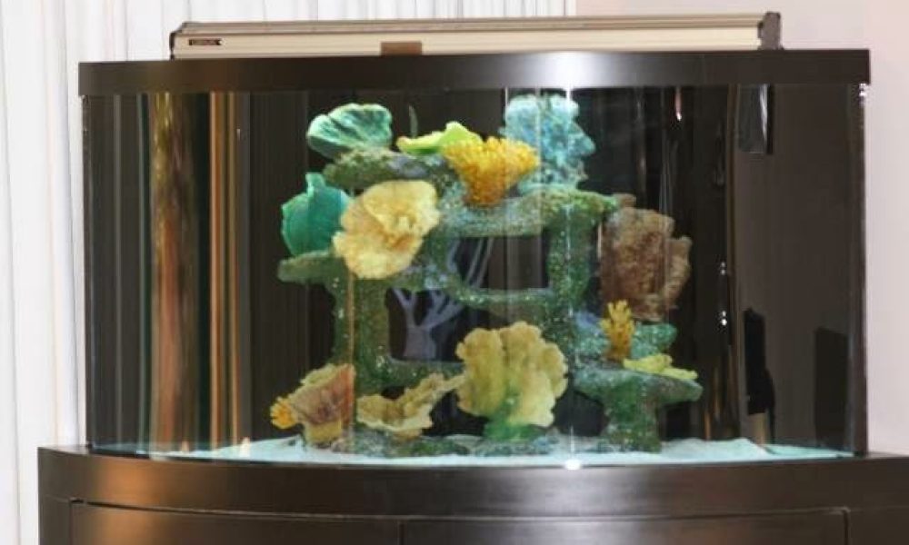 Contemporary Aquarium & Design