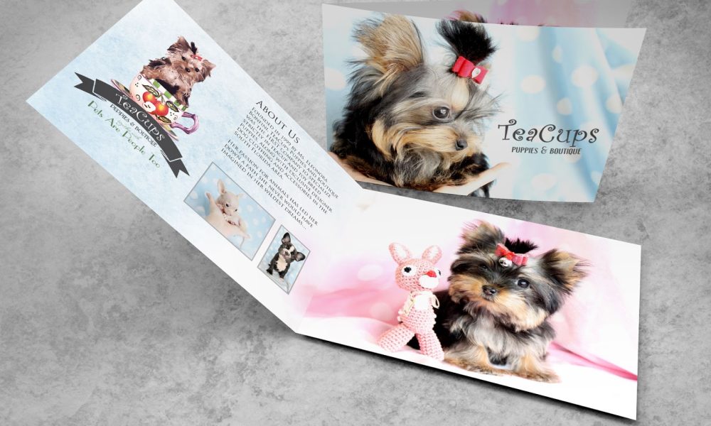 Elemental Studios, Inc