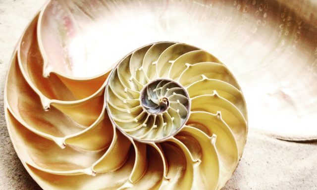 Heart and Mind Connections